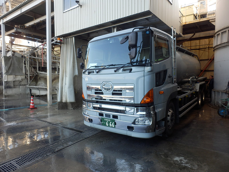 バラセメント